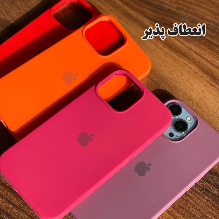 کاور قاب گارد مدل SILASLIG مناسب برای گوشی موبایل اپل iPhone 13 Pro Max