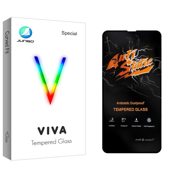 محافظ صفحه نمایش جانبو مدل Viva Anti Static مناسب برای گوشی موبایل اپل iPhone 13